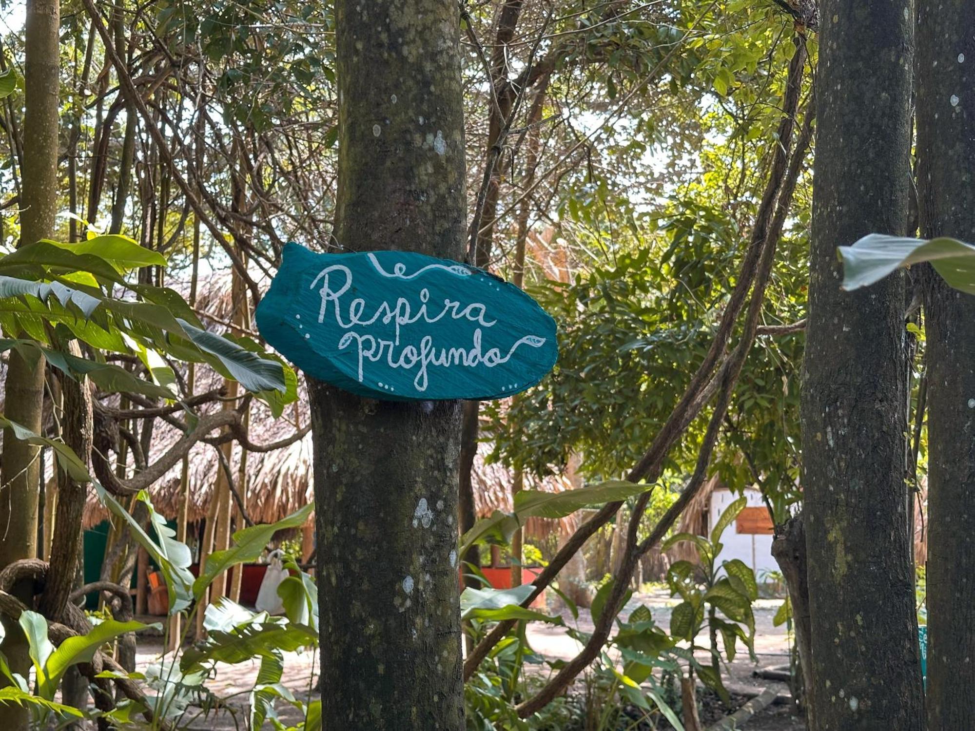 La Aldea Hostel, Camping Y Hamacas Palomino Kültér fotó