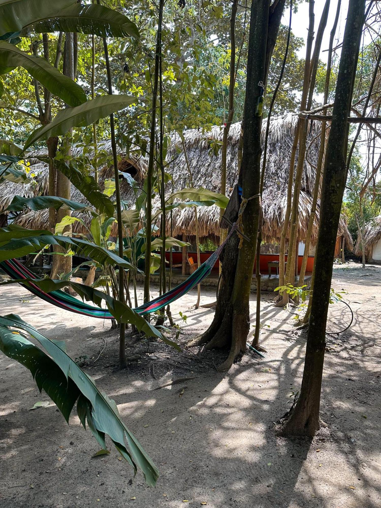 La Aldea Hostel, Camping Y Hamacas Palomino Kültér fotó