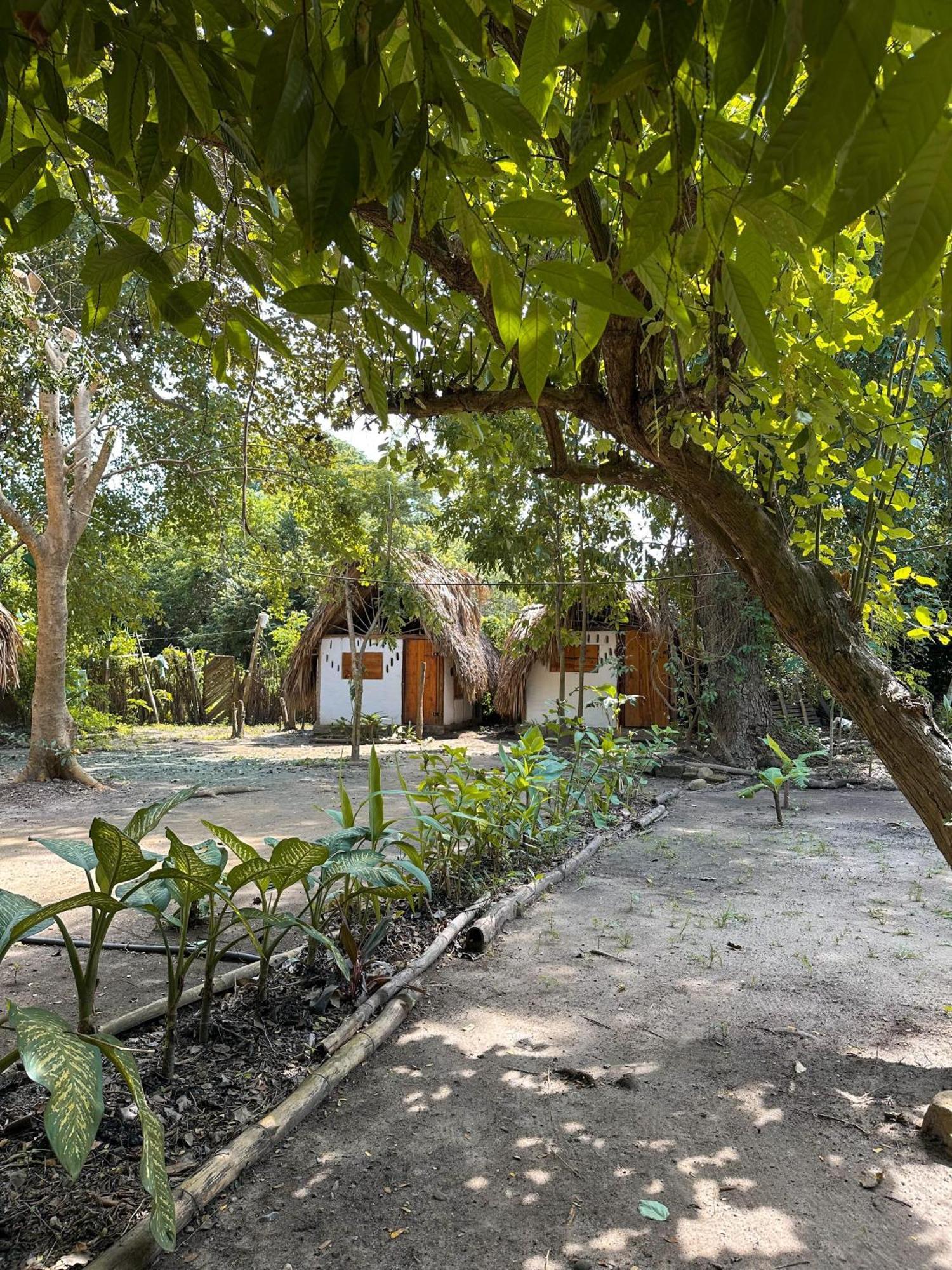 La Aldea Hostel, Camping Y Hamacas Palomino Kültér fotó