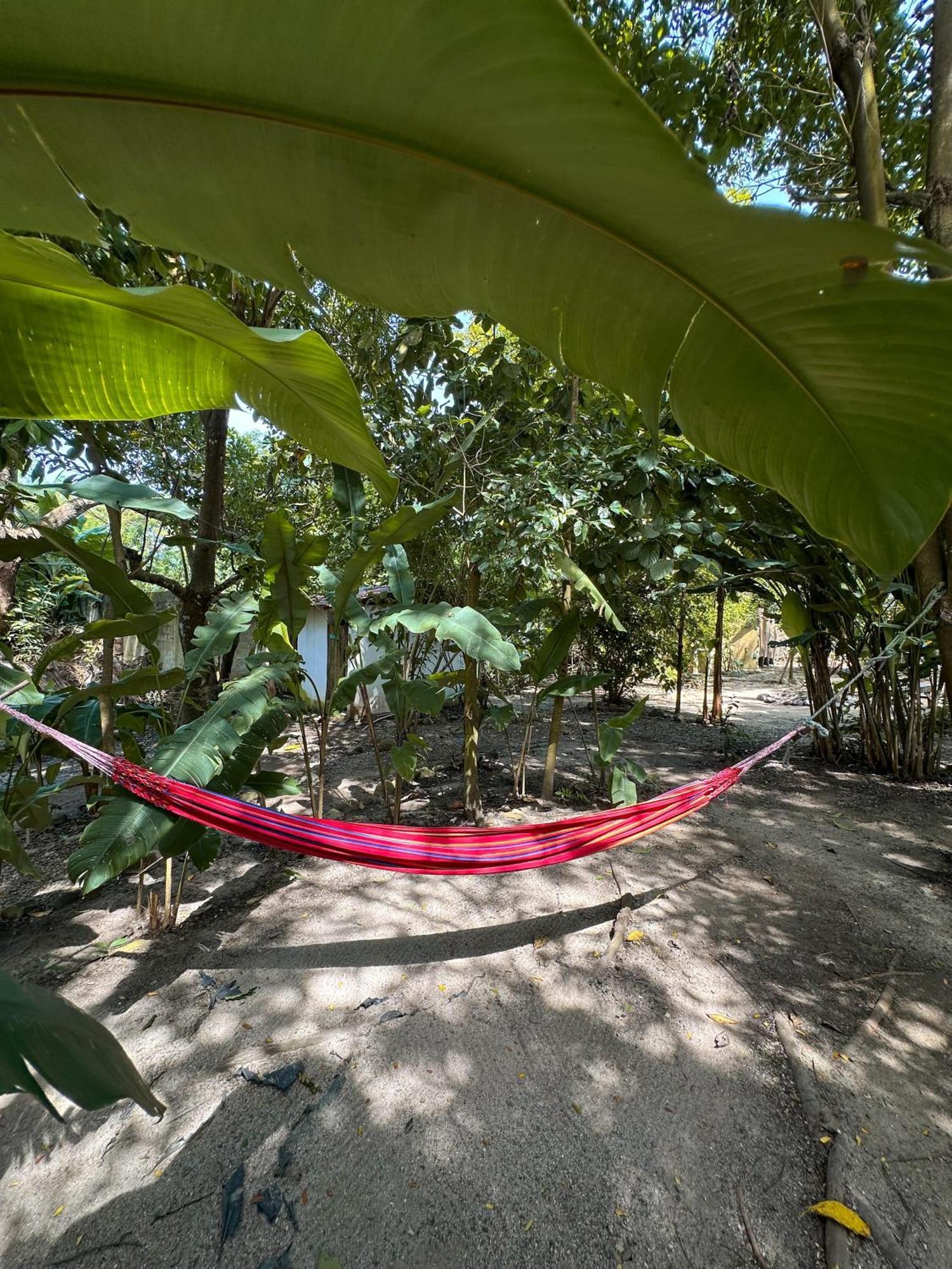 La Aldea Hostel, Camping Y Hamacas Palomino Kültér fotó