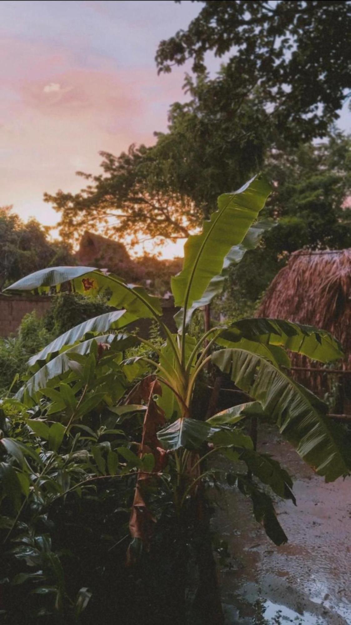 La Aldea Hostel, Camping Y Hamacas Palomino Kültér fotó